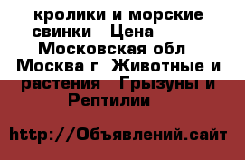 кролики и морские свинки › Цена ­ 200 - Московская обл., Москва г. Животные и растения » Грызуны и Рептилии   